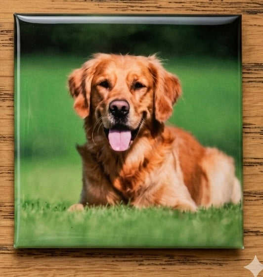 Custom Pet Portrait Photo Magnet