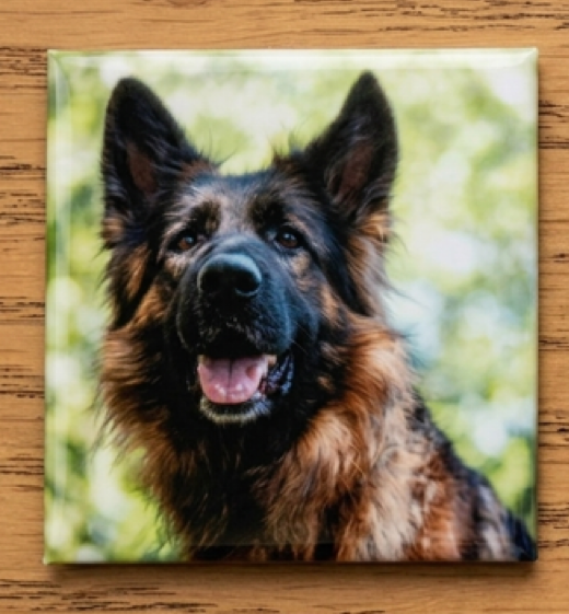 Custom Pet Portrait Photo Magnet