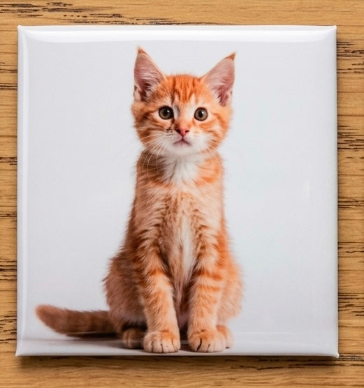 Custom Pet Portrait Photo Magnet